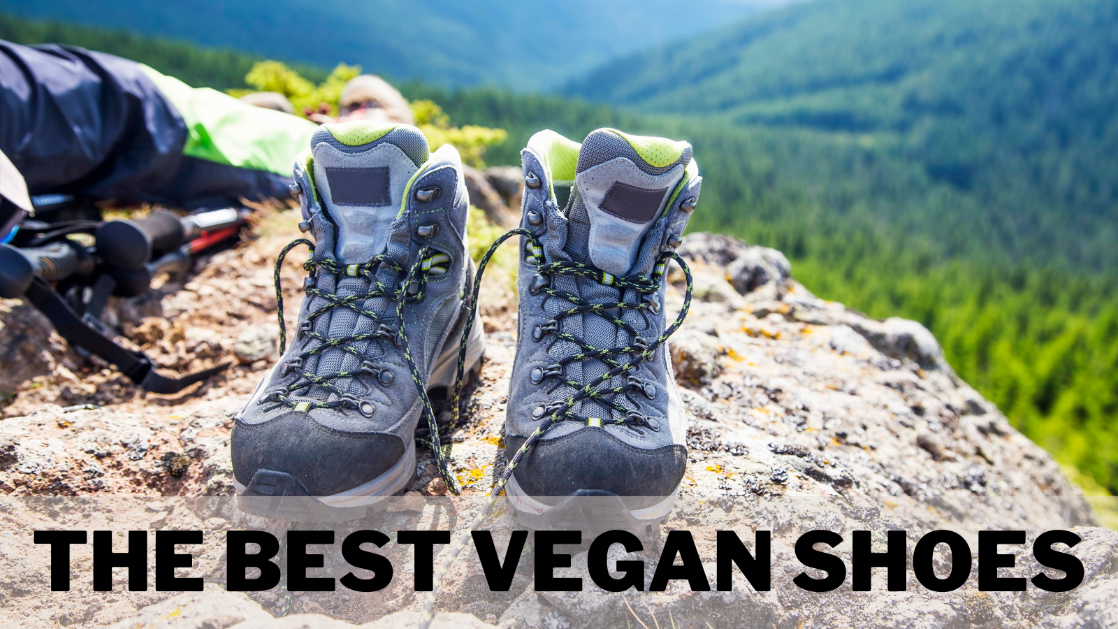 The Best Vegan Shoes