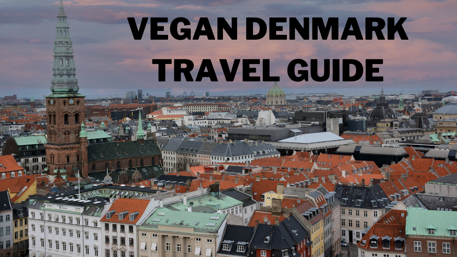Vegan Denmark Travel Guide