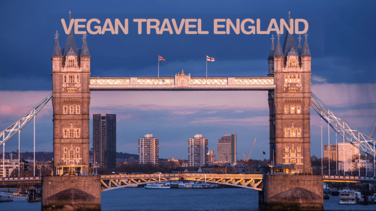 England Vegan Travel Guide