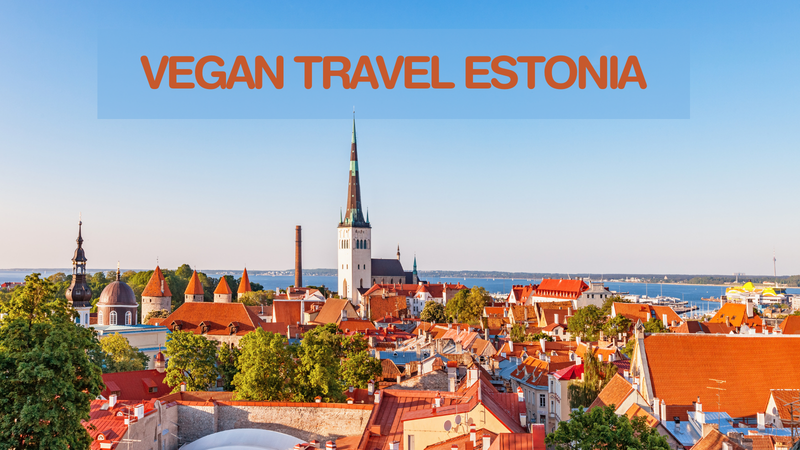 Vegan Travel Estonia