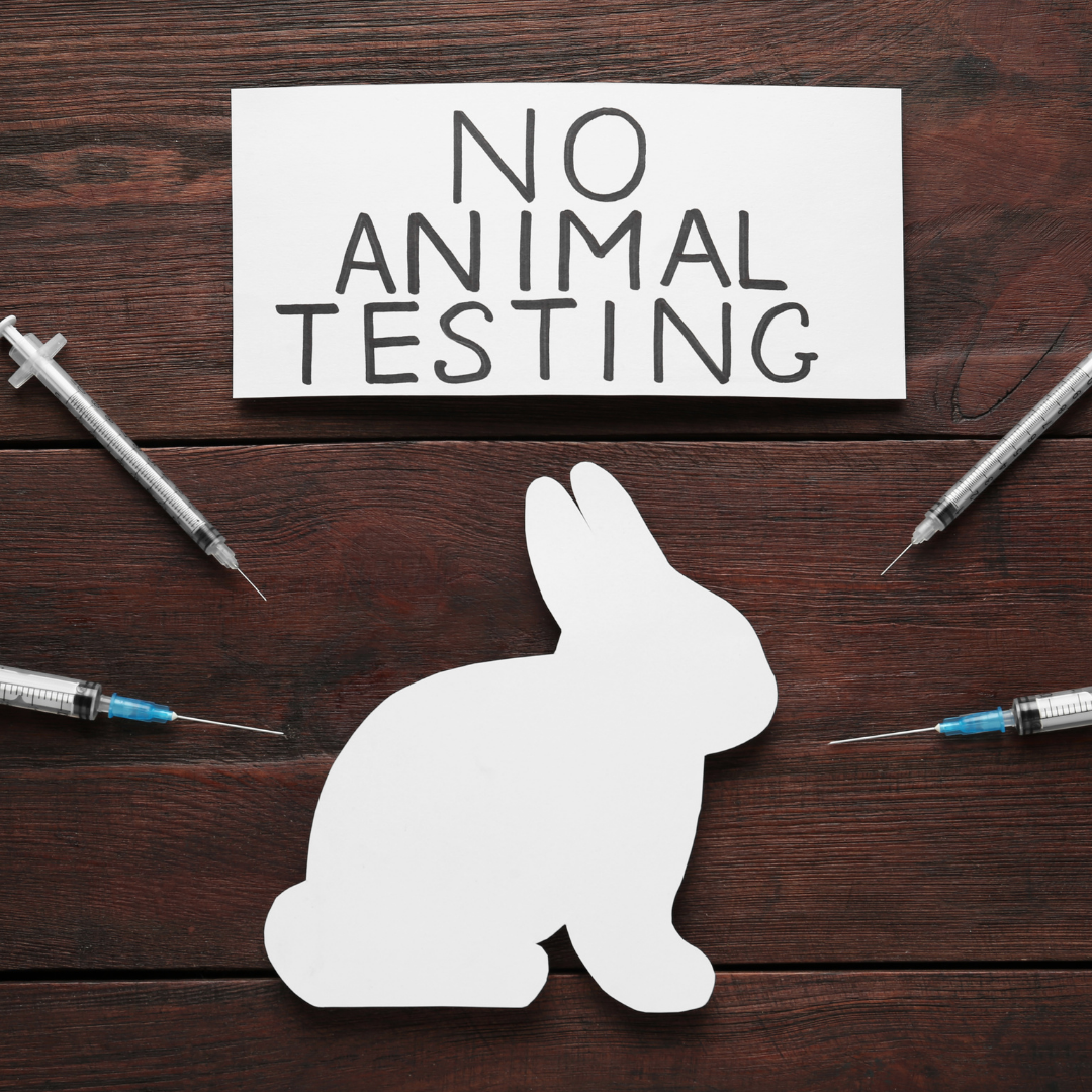 Boycott Animal Testing