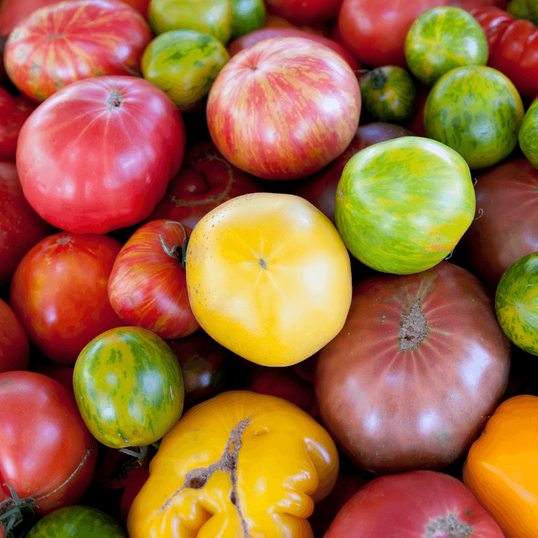 Vegan Recipes Using Tomatoes - Health Benefits Of Tomatoes