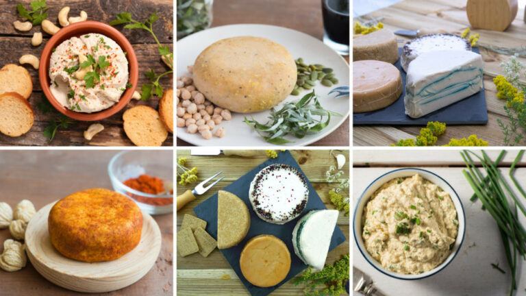 8 Delicious Homemade Vegan Cheese Recipes For Your Kids