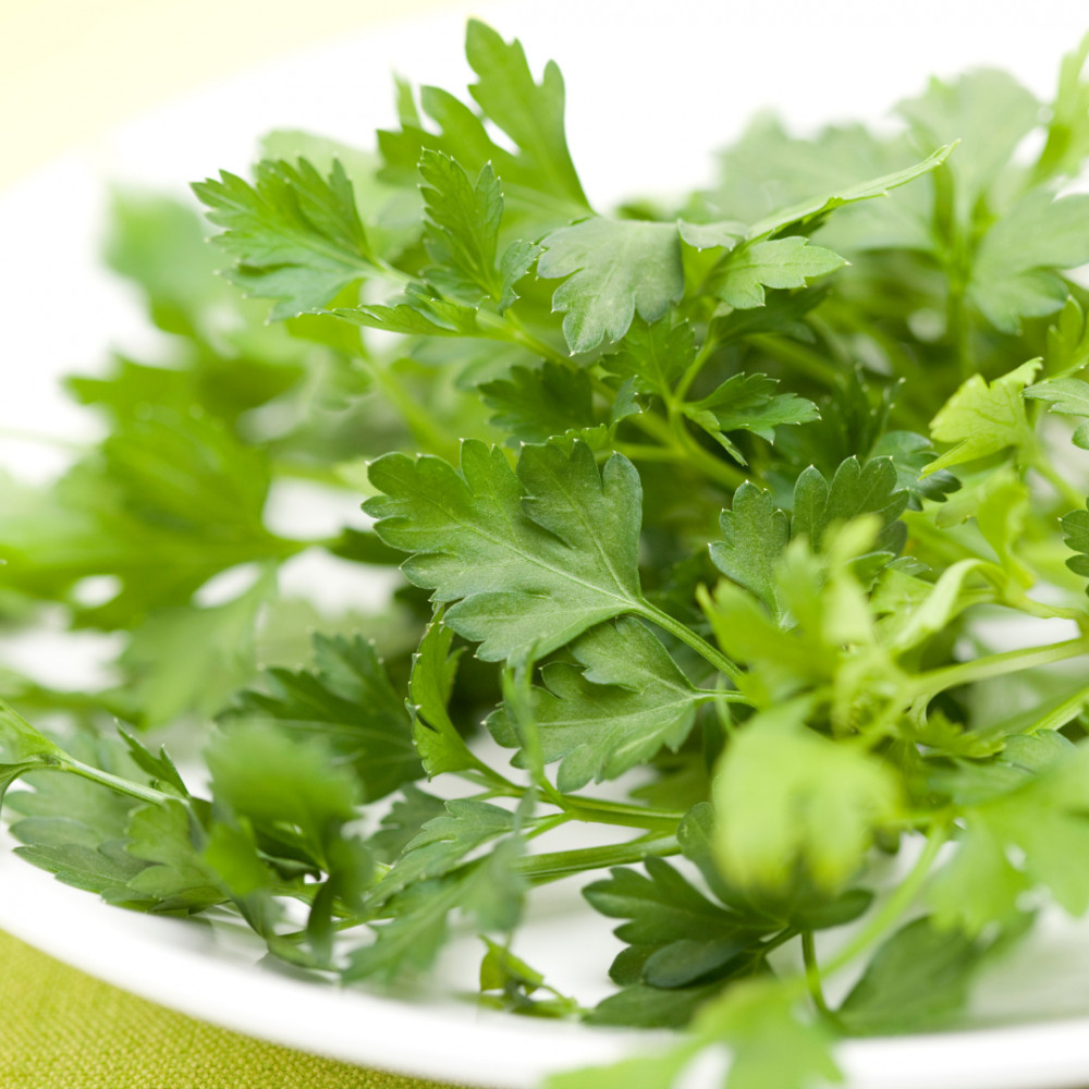 Conclusion To The 6 Healthy Vegan Recipes Using Parsley For Your Kids