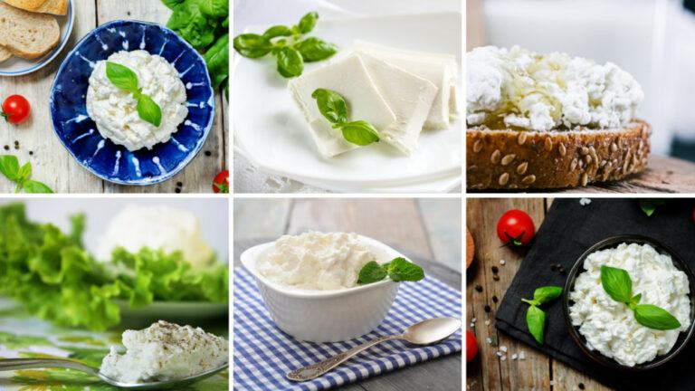 Delicious Vegan Ricotta Cheese Recipes For Your Kids