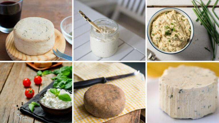 9 Delicious Vegan Sunflower Seed Cheese Recipes For Your Kids