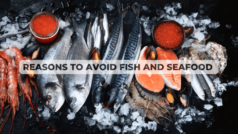 Reasons To Avoid Fish And Seafood And What I Can Eat Instead