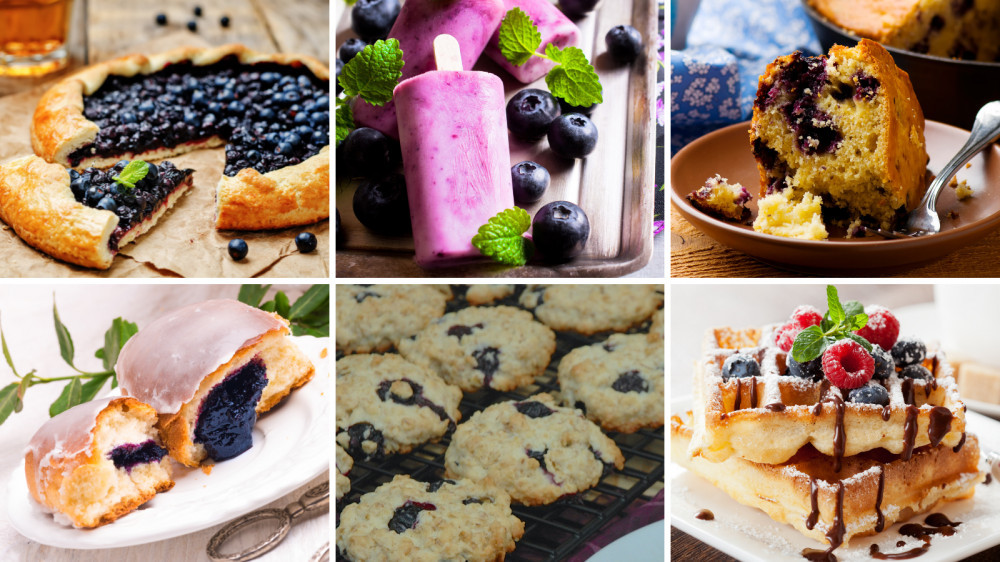 7 Delicious Vegan Blueberry Recipes For Your Kids