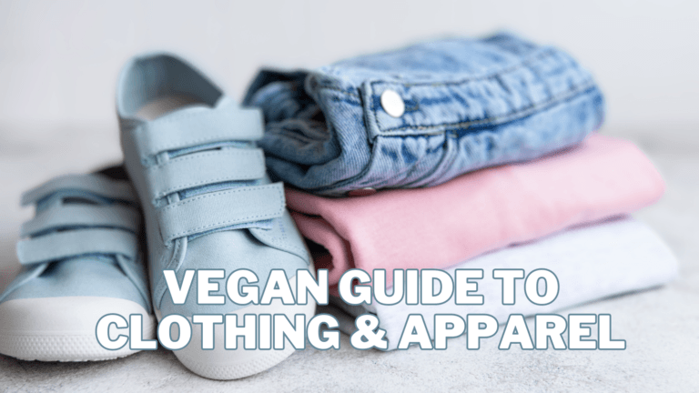 Best Vegan Guide To Clothing And Apparel