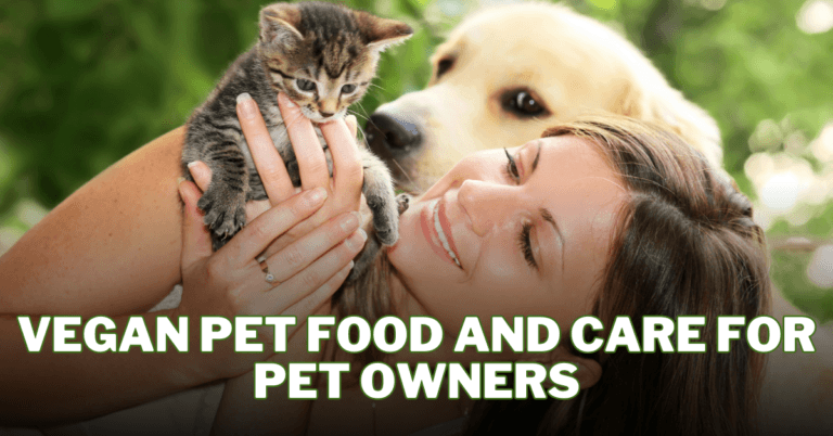 Best Vegan Pet Food And Care For Pet Owners