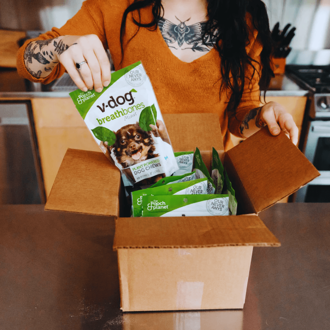 Vegan Pet Food And Care For Pet Owners - V-Dog