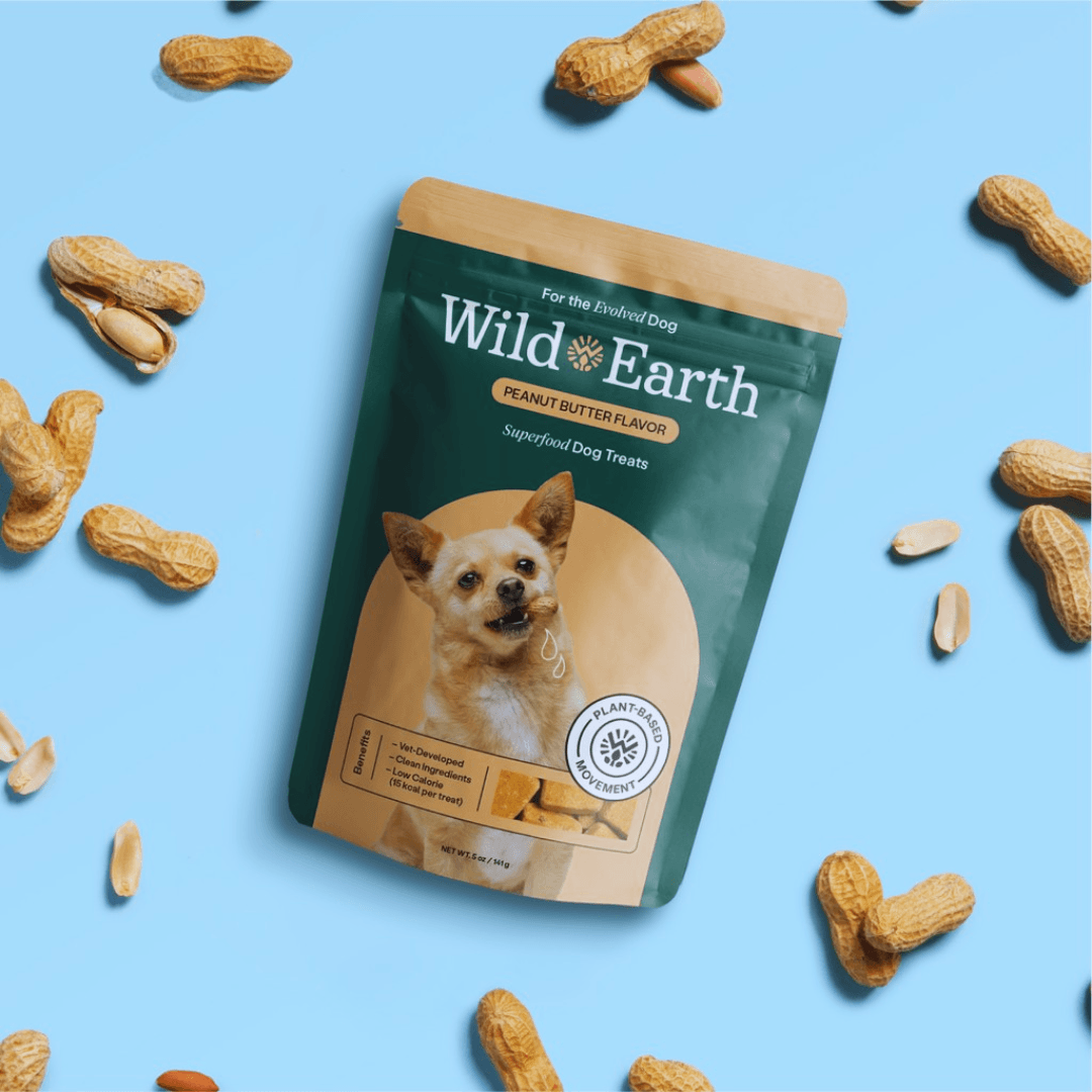 Vegan Pet Food And Care For Pet Owners - Wild Earth
