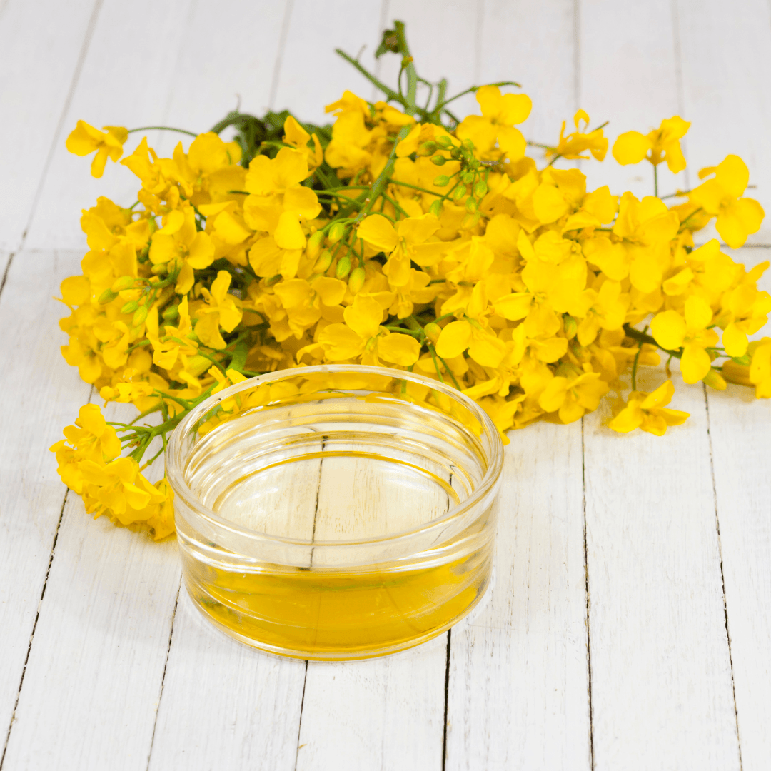 Best Omega 3 For Kids - Canola Oil