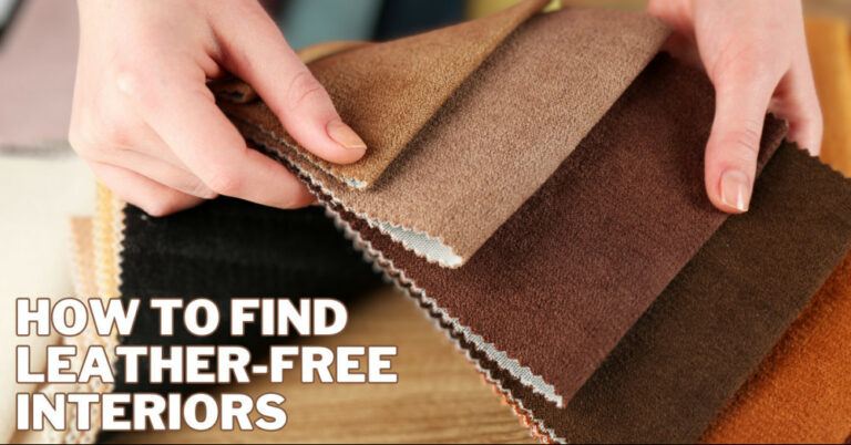 How To Find Leather-Free Interiors