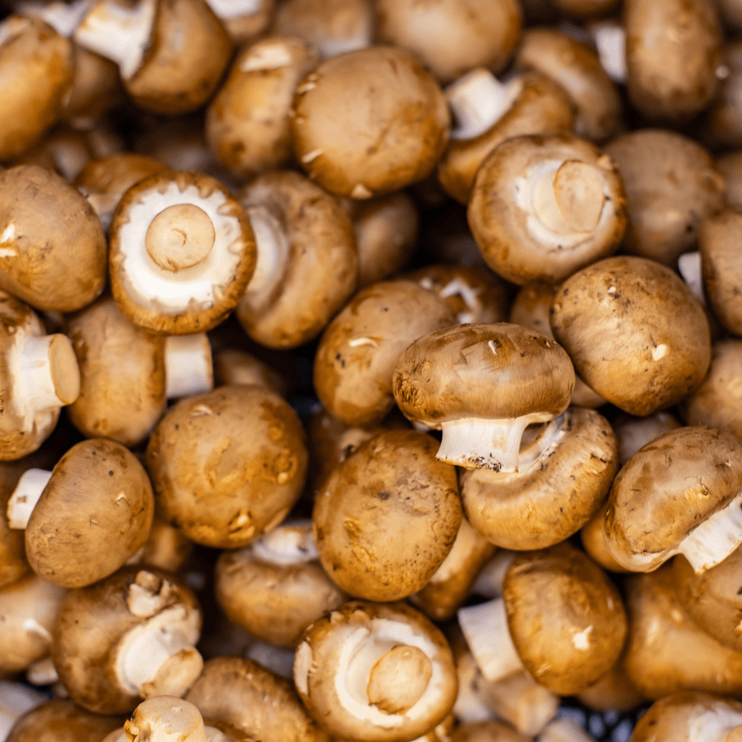 UV-Exposed Agaricus Bisporus Mushrooms