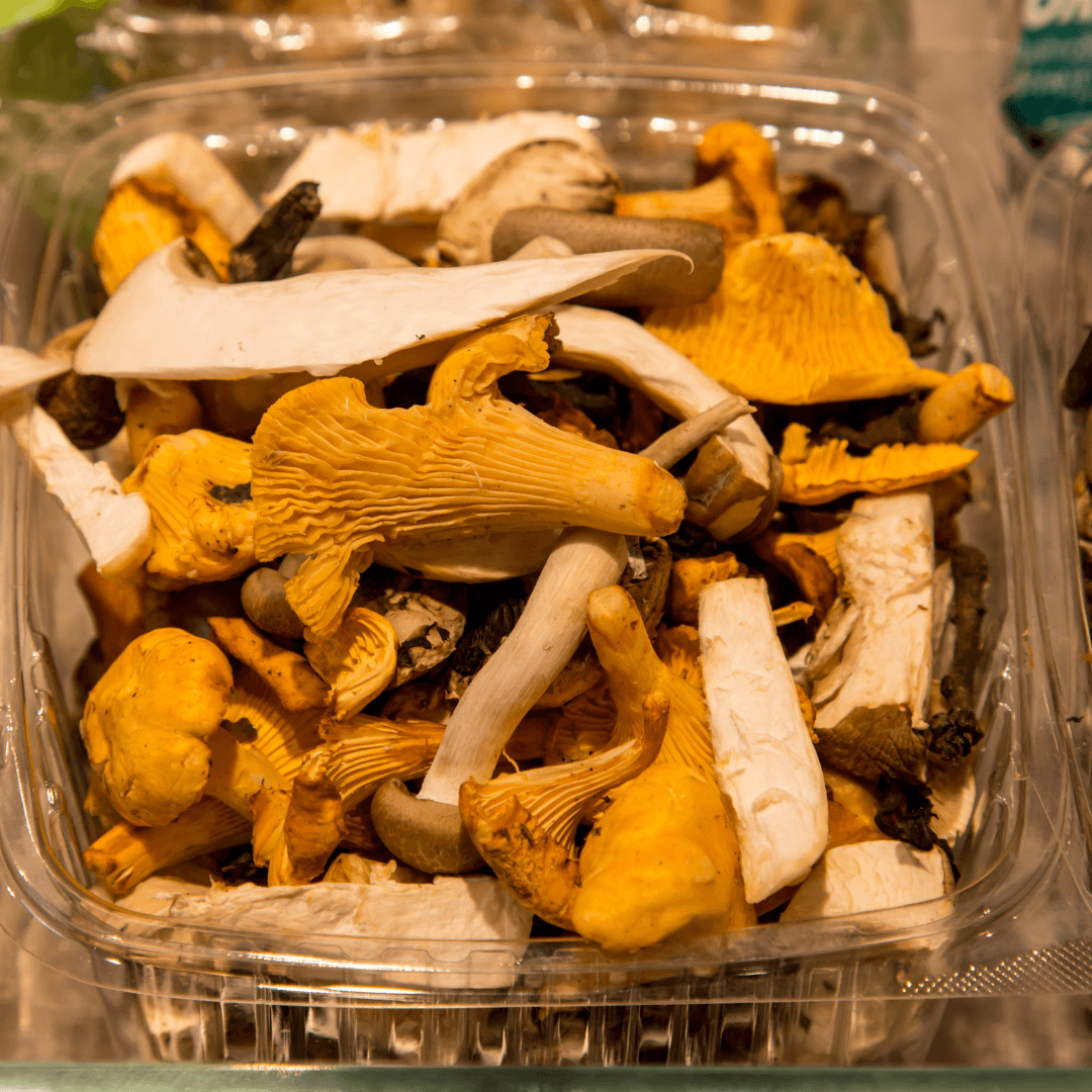 UV-Exposed Mushrooms