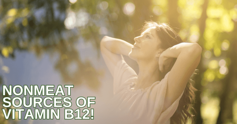Best Nonmeat Sources Of Vitamin B12