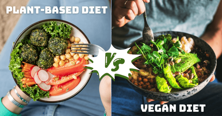 Plant-Based Diet Vs Vegan Diet: A Comprehensive Guide To Choosing The Right Diet