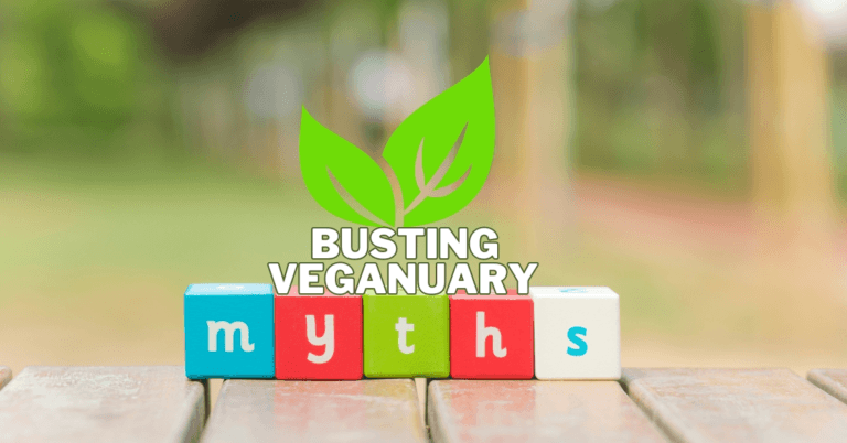 Busting Veganuary Myths