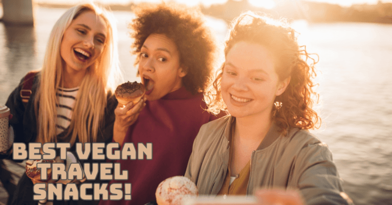 Best Vegan Travel Snacks