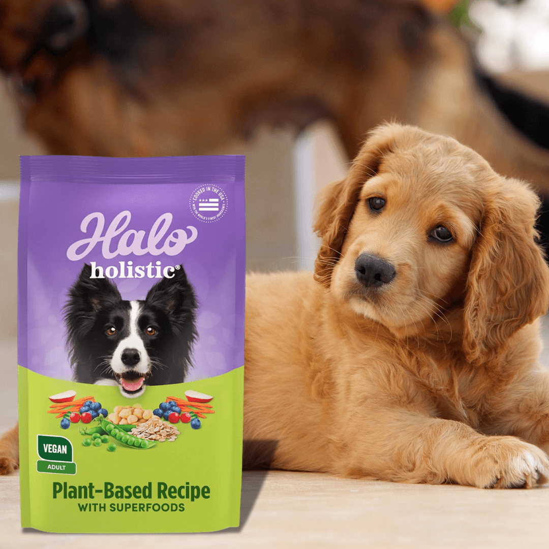 Halo Vegan Dog Food