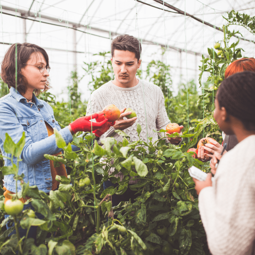 Join A Community-Supported Agriculture (CSA) Program