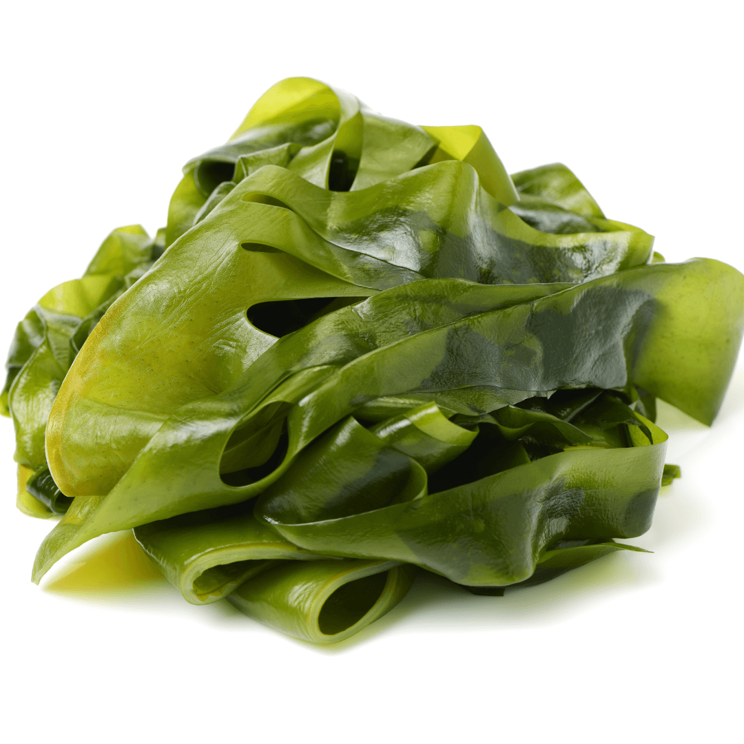 Sea Vegetables