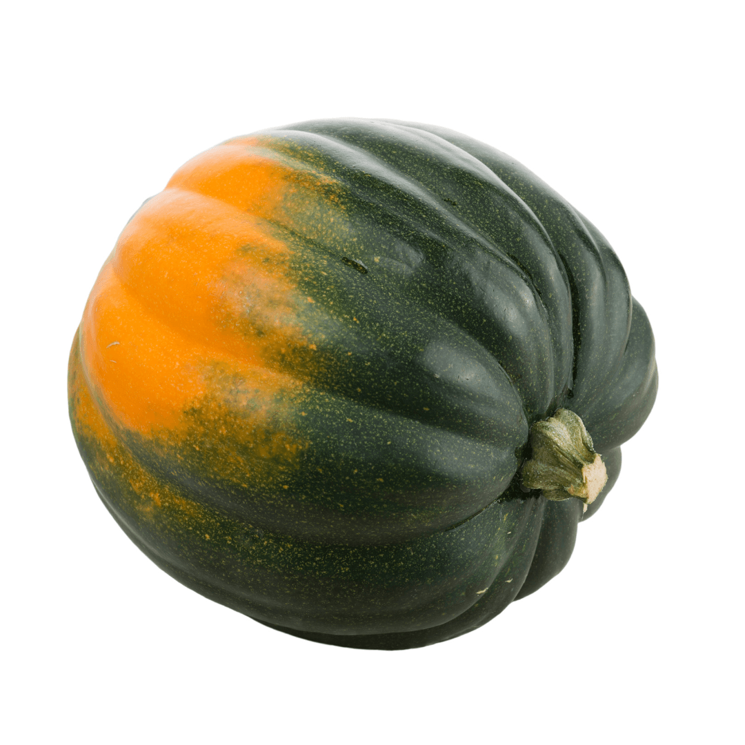 Acorn Squash