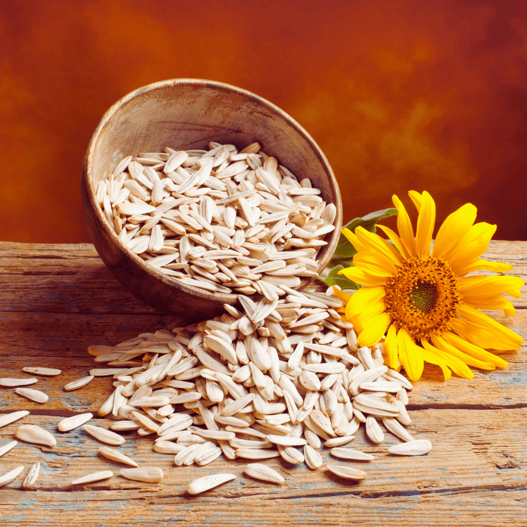 Sunflower Seeds