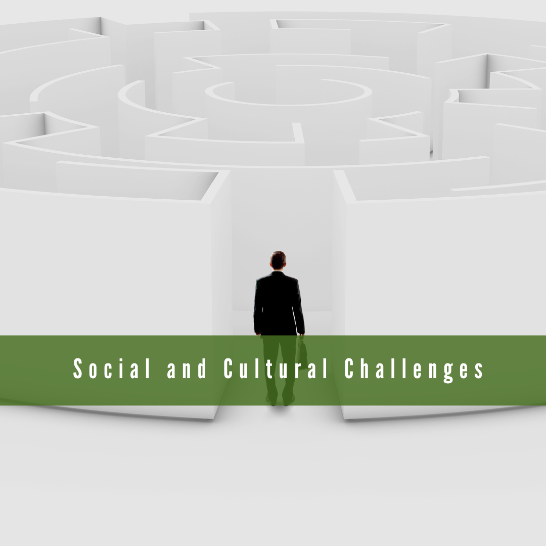 Social And Cultural Challenges