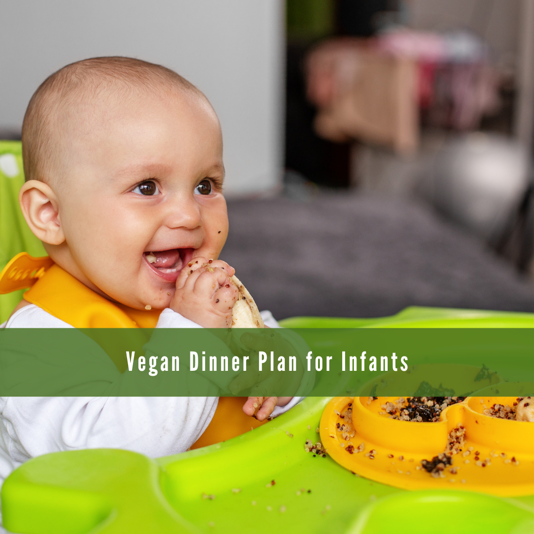 Vegan Dinner Plan For Infants