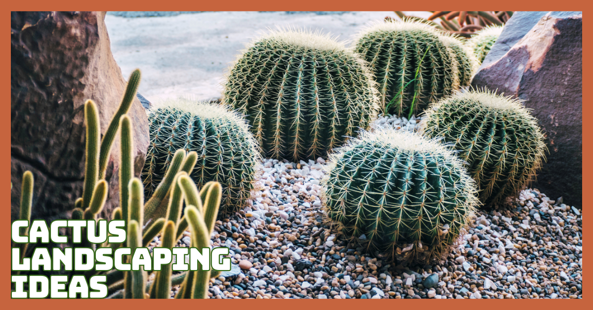 Stunning Cactus Landscaping Ideas That Will Transform Your Yard