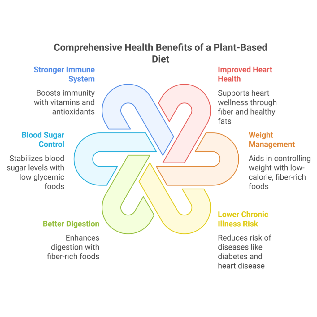 Benefits Of A Plant-Based Diet | Updated In March 2026