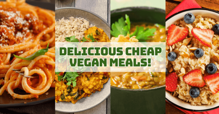 Delicious Cheap Vegan Meals That Won’t Break The Bank