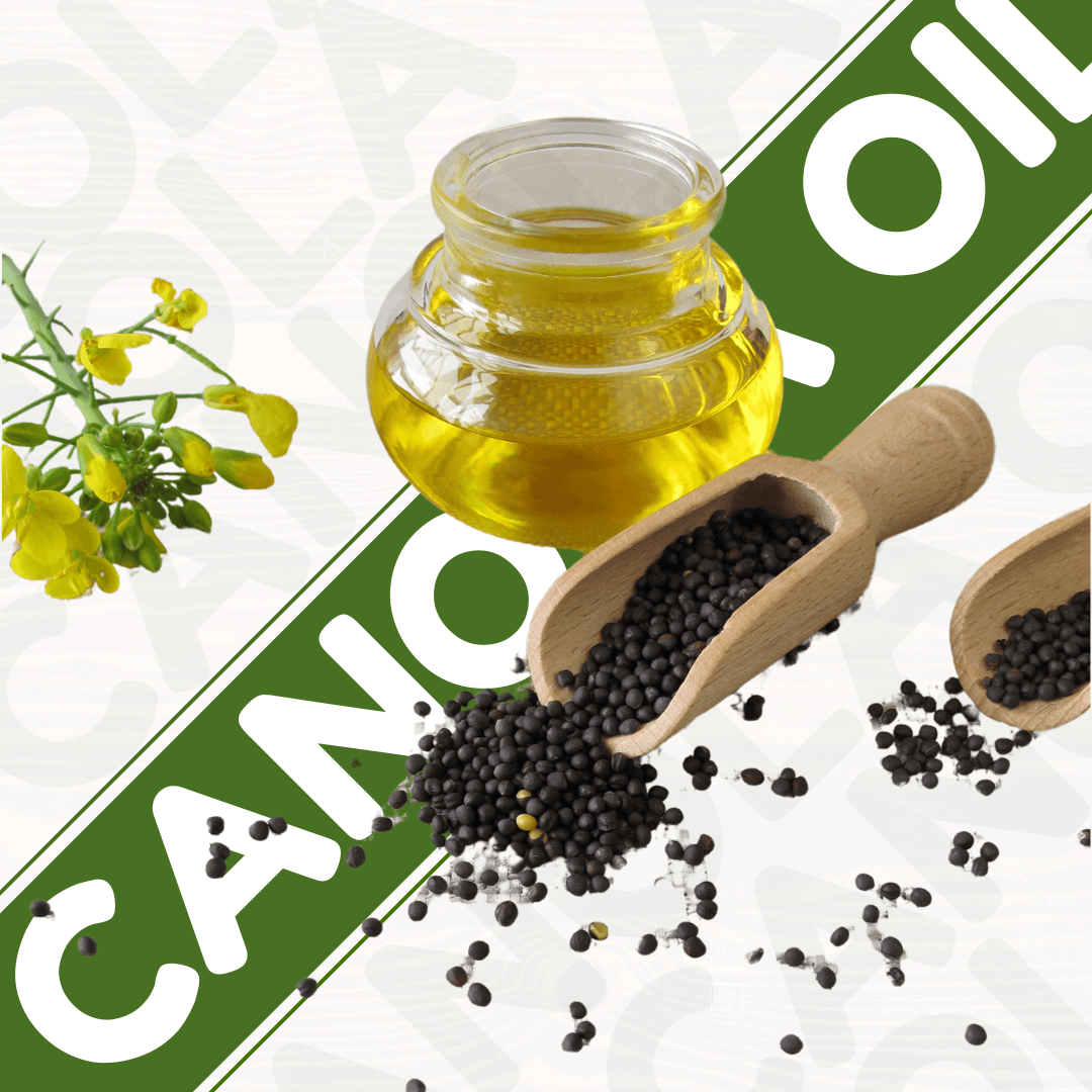 Canola Oil