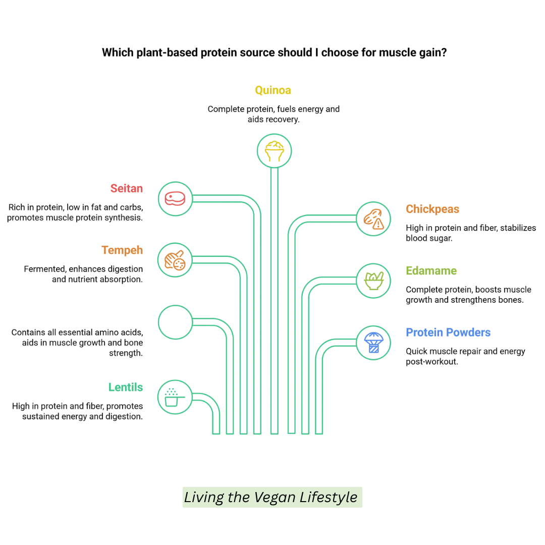 Best Vegan Protein Sources For Muscle Growth