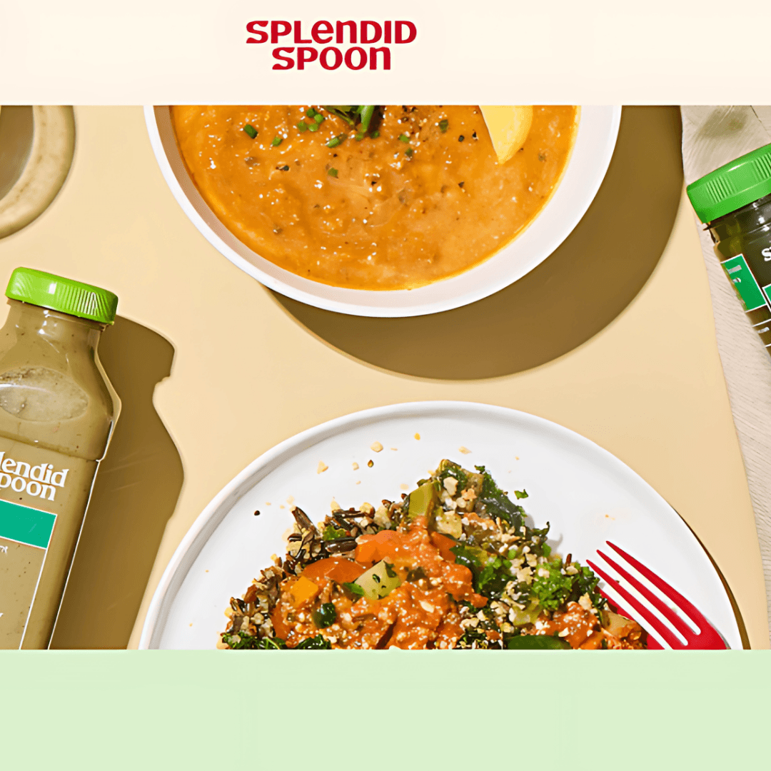 Splendid Spoon – Best For Light, Ready-To-Eat Vegan Meals