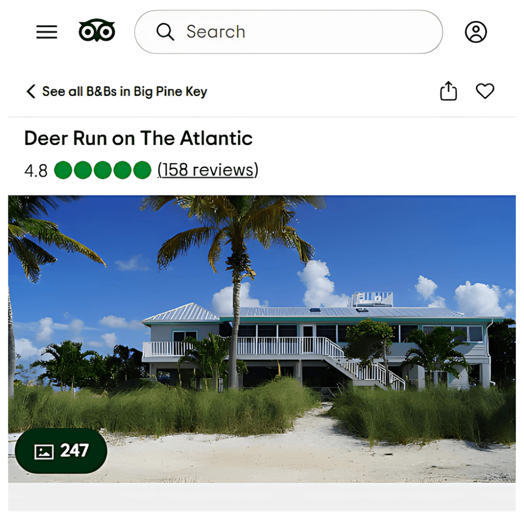 Deer Run On The Atlantic – Big Pine Key, Florida